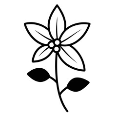  mistletoe-flower line art on-white-background