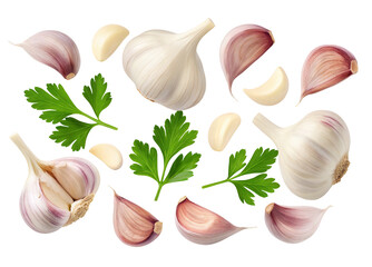 A scattered arrangement of garlic bulbs cloves and fresh parsley sprigs on a black background surface