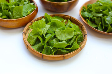 Gotu kola, fresh green leaves