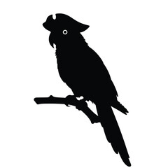 Black silhouette of a parrot wearing a pirate hat bird