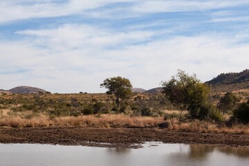 Flat design shallow pond is stretching across semi-arid grassland, dry grasses and rocky hills