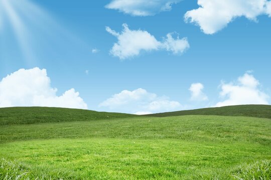 Fototapeta Rolling grassy hills are being shown in flat design with scattered white clouds and sun rays