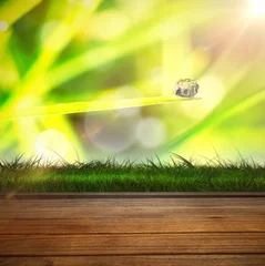  Wooden planks against dew on grass © vectorfusionart