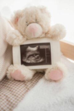 High angle view of teddy bear with ultrasound scan