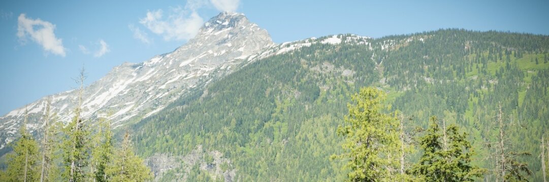 Fototapeta Rocky mountain peak is towering in flat design alpine scene, with snow patches and evergreen trees