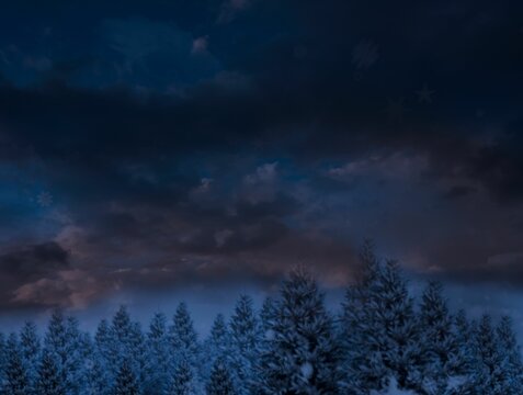 Fototapeta Digitally generated Night sky over forest