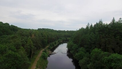 High angle view of river amidst trees