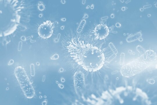 Three dimension image of bacteriums