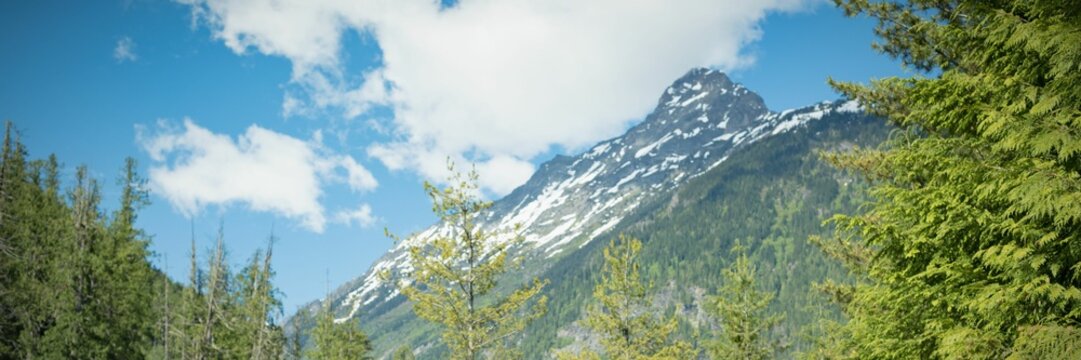 Fototapeta Snowcapped mountains and forest