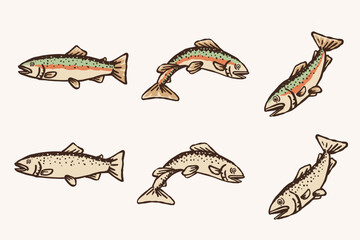 Fototapeta premium Hand Drawn Rainbow Trout Fish Collection - Colored and Monochrome Vector Illustrations 