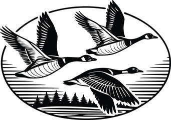 bird, vector, silhouette, flying, eagle, animal, illustration, wing, tattoo, nature, wings, black, fly, flight, feather, symbol, hawk, wildlife, birds, design, art, beak, freedom, falcon, dove