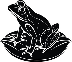 frog, amphibian, toad, animal, nature, isolated, wildlife, green, brown, white, white background, macro, eye, common toad, reptile, wild, closeup, bufo