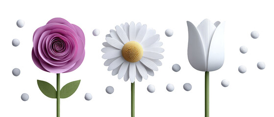 Three distinct flowers with vibrant colors arranged in a row, set against a subtle background