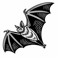 Detailed black and white woodcut style illustration of a flying bat