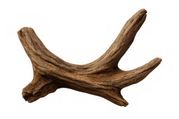 Driftwood branch with textured surface, isolated on transparent background, perfect for nature-themed projects