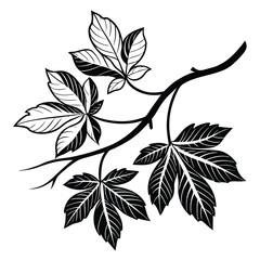 Black and white branch with leaves