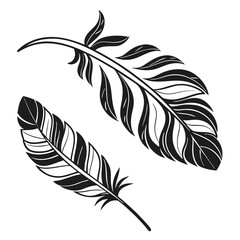 Obraz premium Black and white feather design illustration