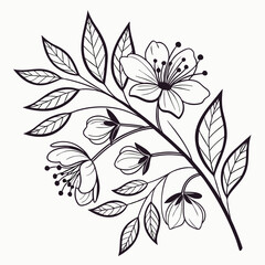 Fototapeta premium Black and white floral branch design