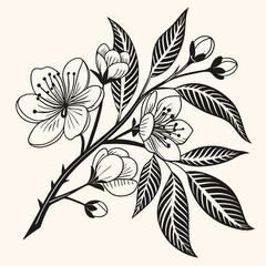 Black and white floral branch illustration