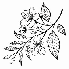 Black and white floral branch illustration