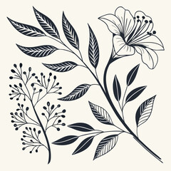 Botanical illustration design elements