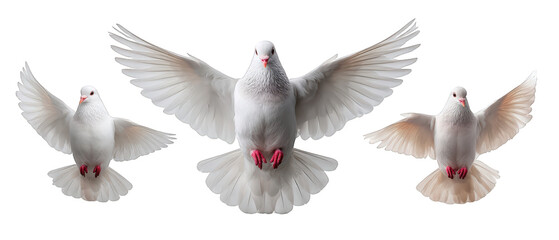 Three white doves in mid-flight, showcasing their wings against a neutral background, symbolizing peace