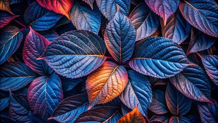 Fototapeta premium Colorful Autumn Leaves Abstract