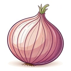 A single red onion, isolated on white background