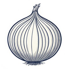 A whole onion, isolated on white background