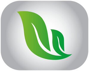 double leaf logo