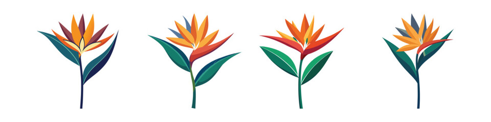 Bird of Paradise Flower Flat Style Botanical Vector Illustration