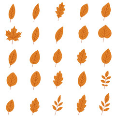 Obraz premium Autumn Dry Leaves Set - Flat Style