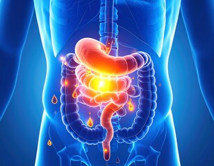 Gastric Acid Release Illustration