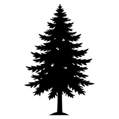 Obraz premium Picea critchfieldii tree vector