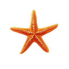 Orange starfish with white spots isolated on a transparent background