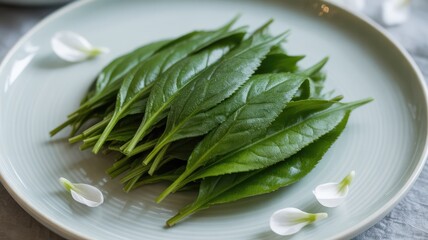 Elegant still life of fresh green tea leaves on a ceramic plate with a brass spoon on a minimalist grey background.