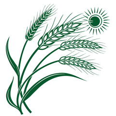 Green Wheat Stalks with Sun Illustration on a White Background