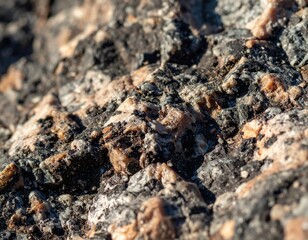 Close view reveals the fascinating texture and natural beauty of a dark, rugged stone surface in detailed shot.