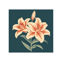 Elegant Lily Illustration in a Teal Square