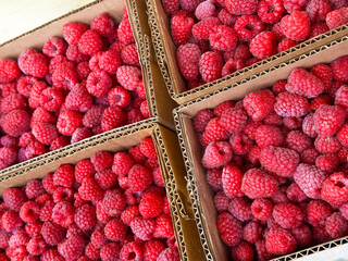 Raspberries on a shelf at the market. Sorted fruits in eco-friendly paper boxes.