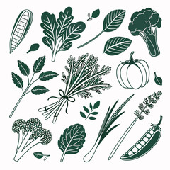 Fresh Green Vegetables and Herbs Collection broccoli