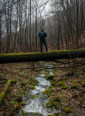 A hiker stands above a mossy stream in the Sebesvíz Valley, surrounded by bare trees and wet...