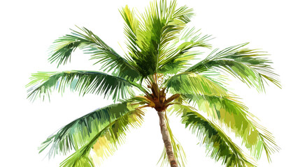 Digital painting of a coconut palm with bright green tones Transparent background, PNG