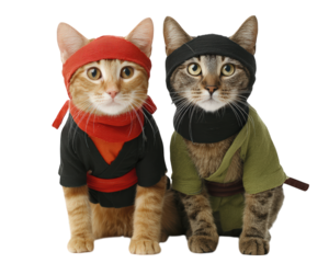 Two adorable cats dressed in ninja and samurai costumes, one in black and red, other in green, sitting side by side with focused expressions, playful and creative concept