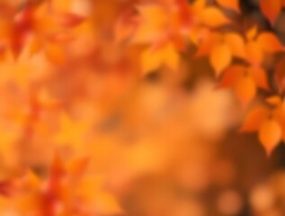 Vibrant autumnal foliage in warm shades of orange creating depth