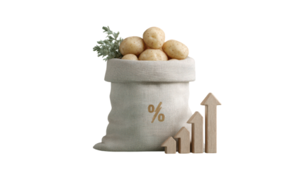 Burlap sack full of potatoes with percentage symbol and growth chart isolated on transparent background