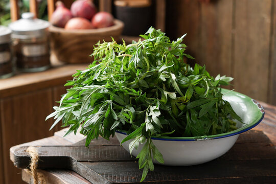 Close-Up of Fresh Ulam Raja Leaves on Rustic Surface as Traditional Edible Herb in Malaysian Cuisine