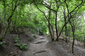 Beautiful View The Hoge Kempen