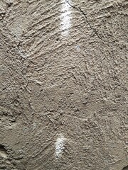 teak tree branches against sky