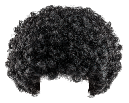 Curly wig afro hairstyle black synthetic hair costume accessory isolated on transparency background retro style party prop fun fluffy voluminous